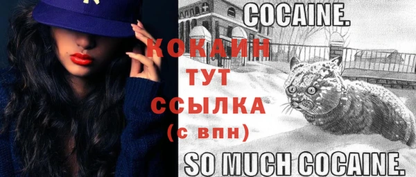 таблы Горняк