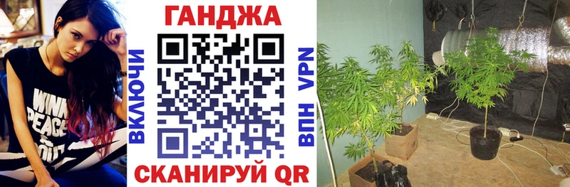 купить наркоту  Пересвет  Марихуана тримм 